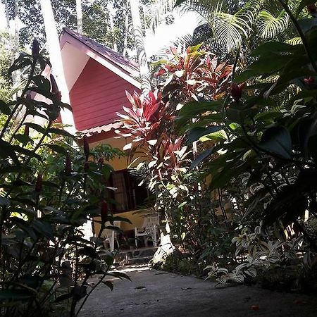 Khao Sok Holiday Resort Khao Sok National Park Exterior foto