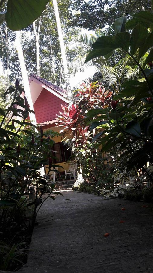 Khao Sok Holiday Resort Khao Sok National Park Exterior foto